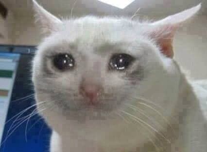 Crying Cat