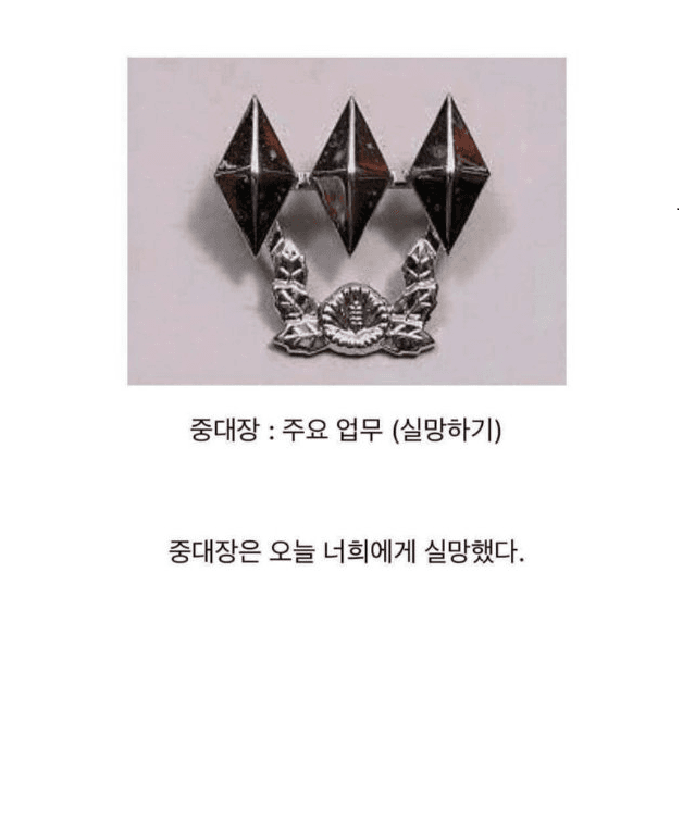 중대장은 너희에게 실망했다