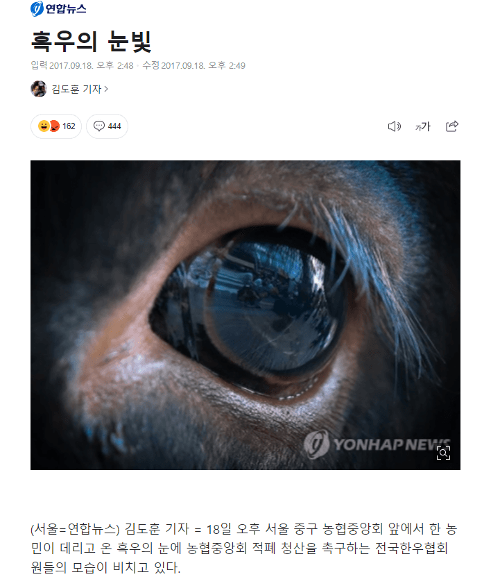 흑우의 눈빛