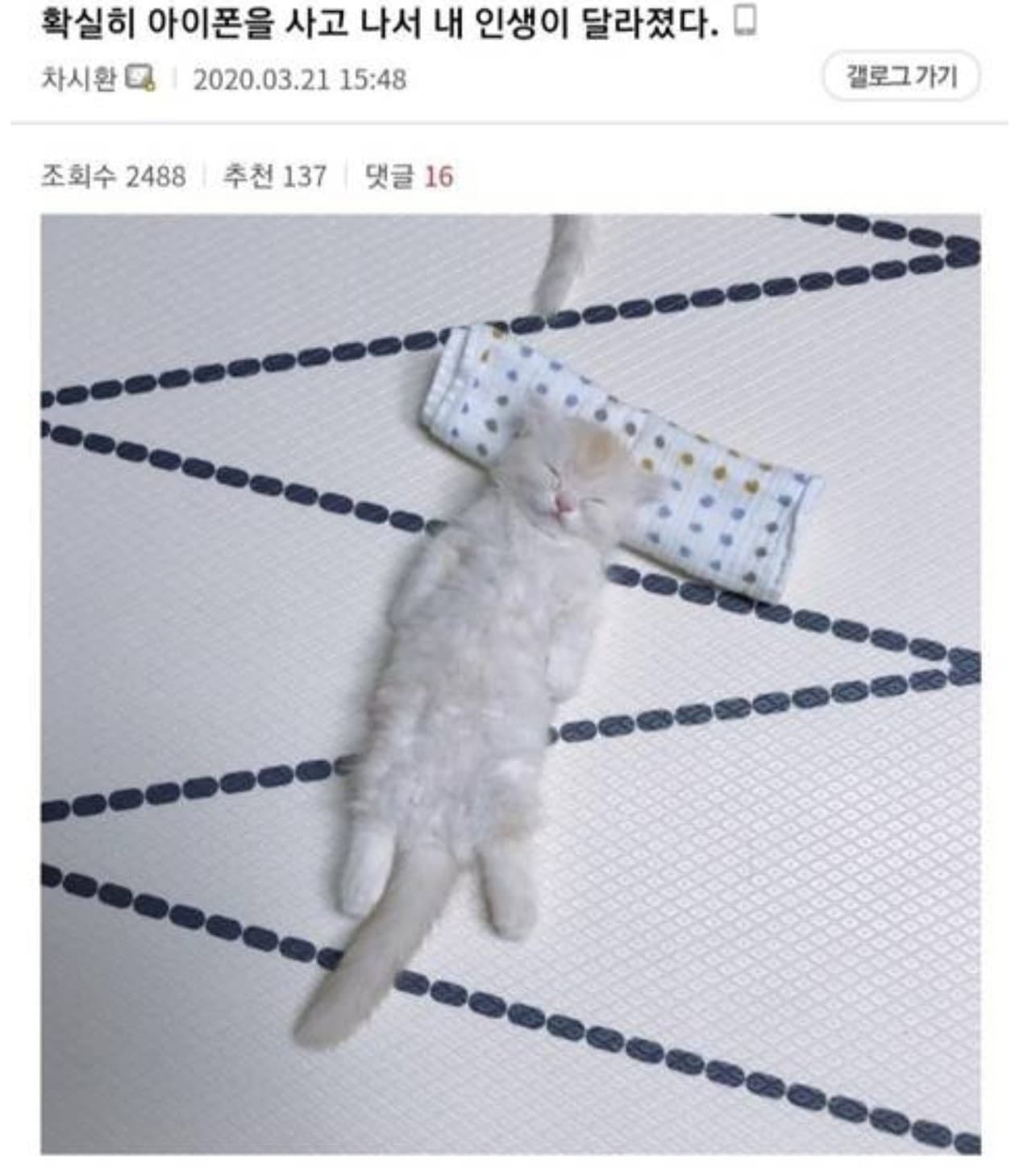 ~ 하고나서 내 인생이 달라졌다.