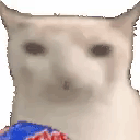 Cat Eating Chips