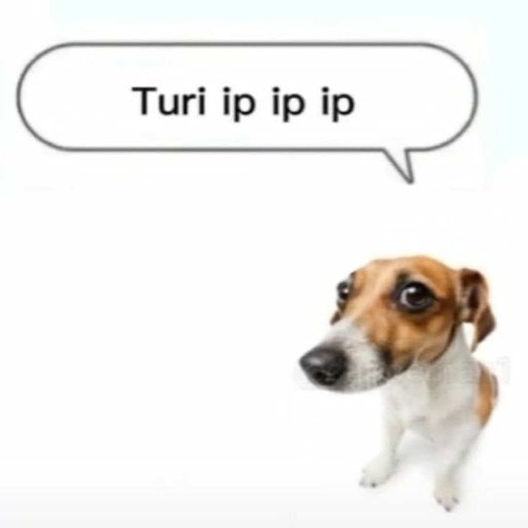 Turi ip ip ip