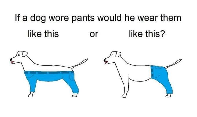 If a Dog Wore Pants