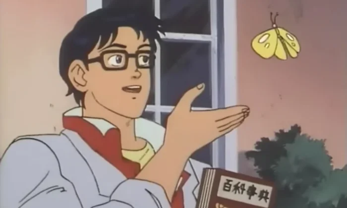 이게 비둘기인가요?